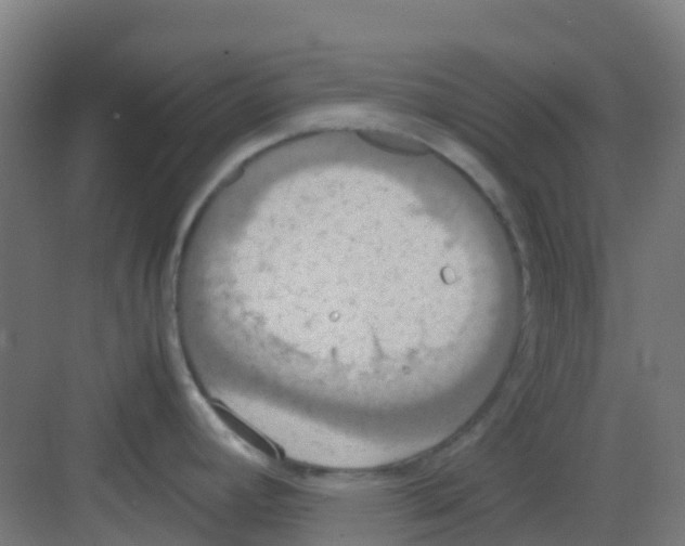 X0000081371392200702082335