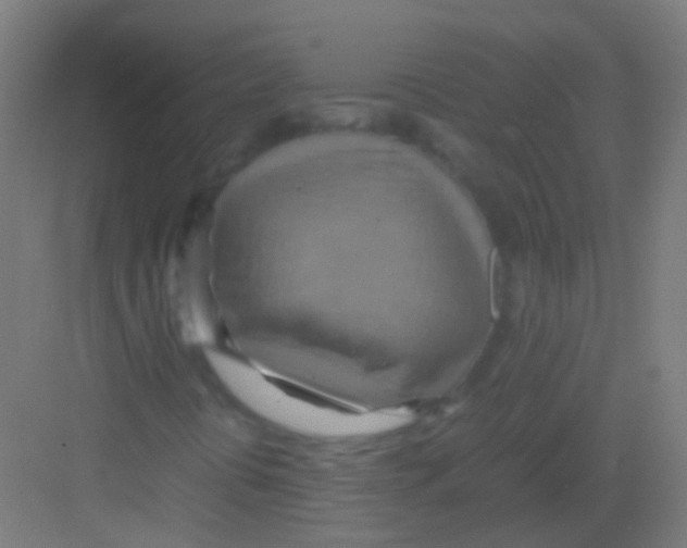 X0000081371394200702082334