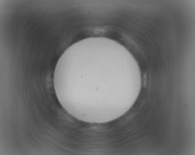 X0000081371395200702082334