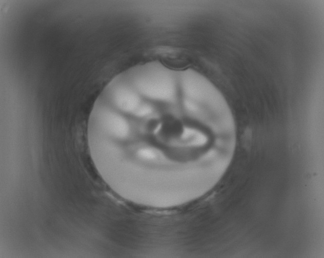 X0000081371397200702082334