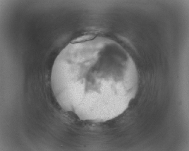 X0000081371399200702082334