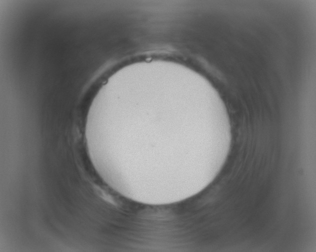 X0000081371400200702082334