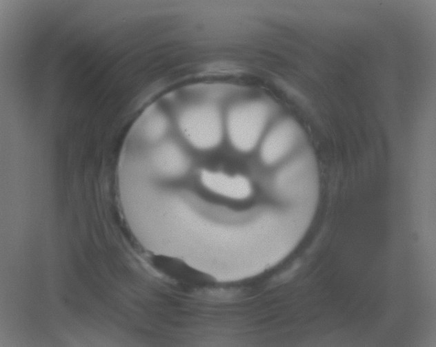 X0000081371401200702082334