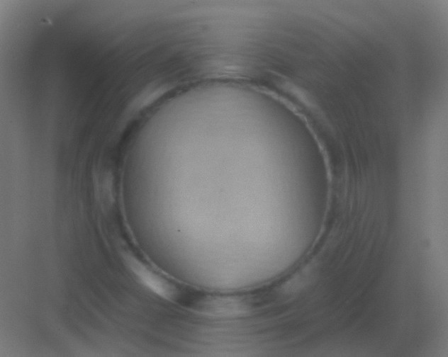 X0000081371402200702082334