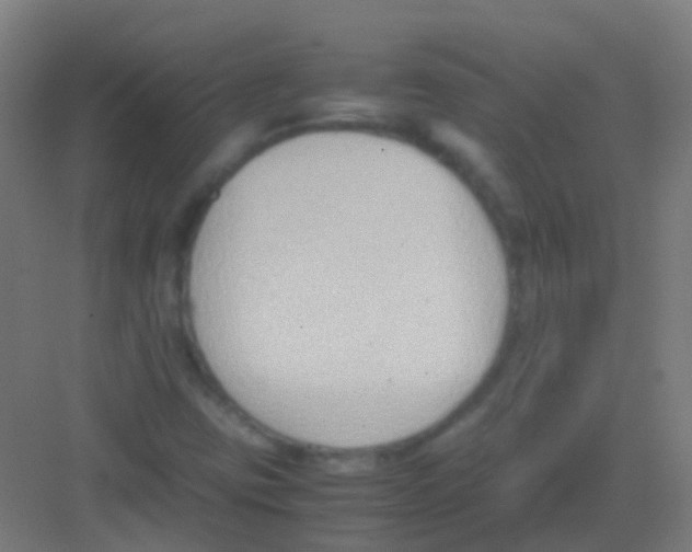 X0000081371403200702082334