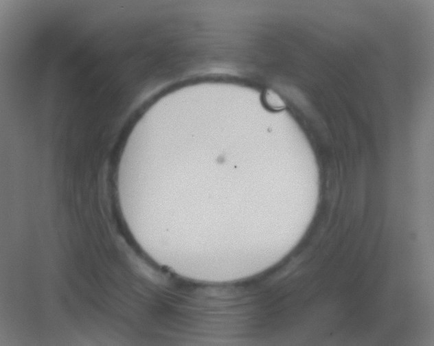 X0000081371404200702082334