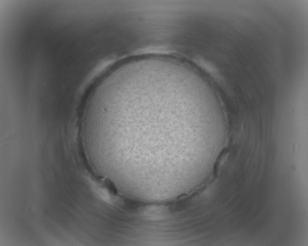 X0000081371406200702082334