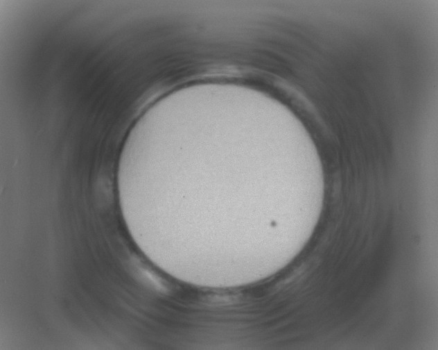 X0000081371409200702082334