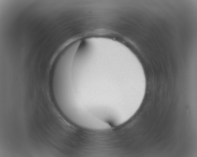 X0000081371410200702082334