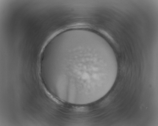 X0000081371413200702082334