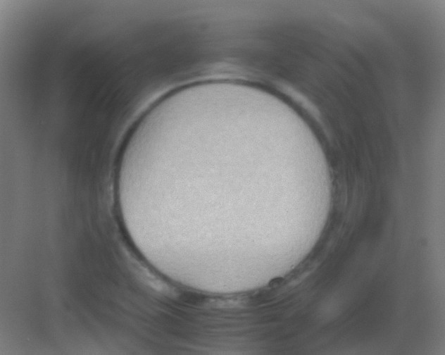 X0000081371415200702082334