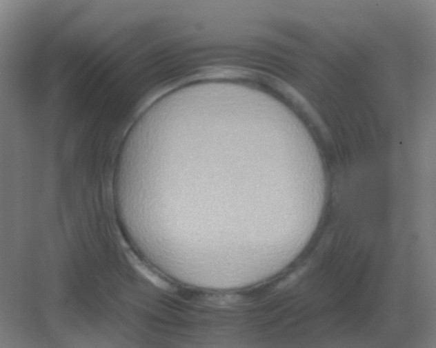 X0000081371417200702082334