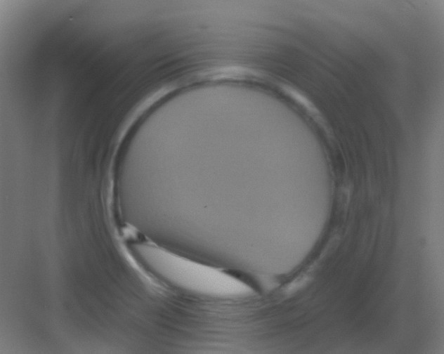 X0000081371418200702082334