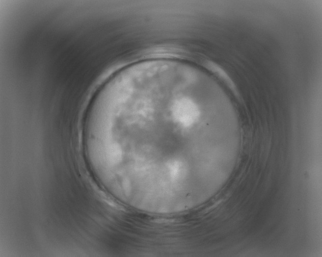 X0000081371419200702082334