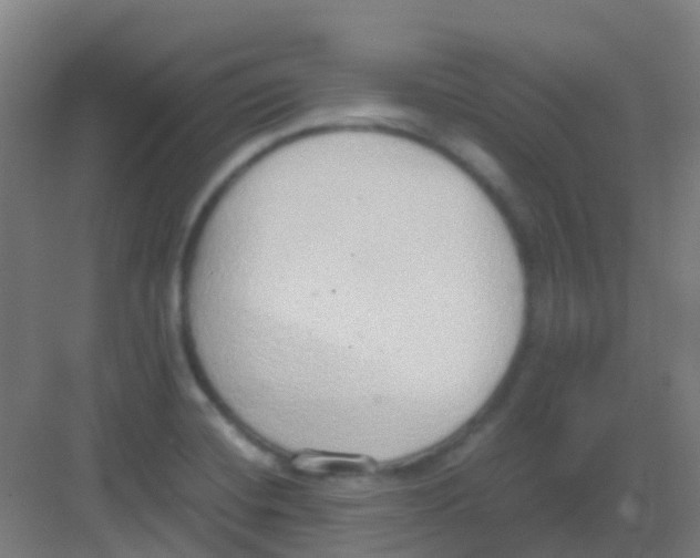 X0000081371420200702082334