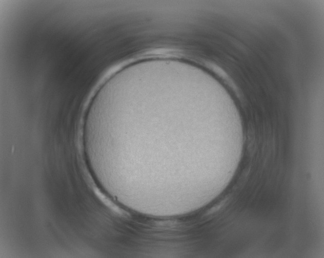 X0000081371421200702082334