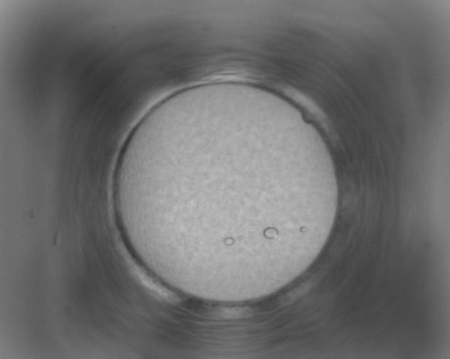 X0000081371423200702082334