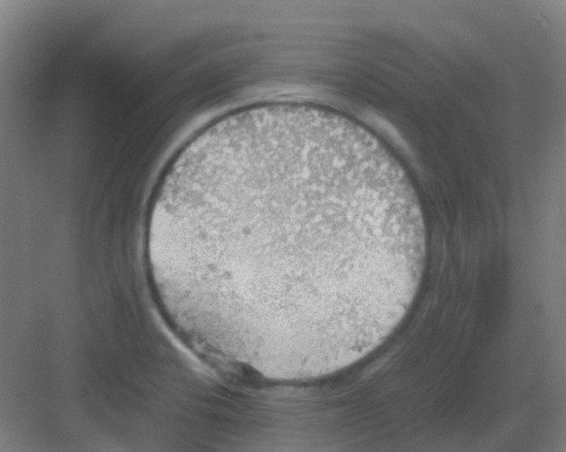 X0000081371424200702082334