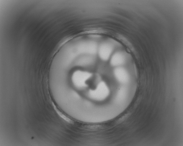 X0000081371425200702082334