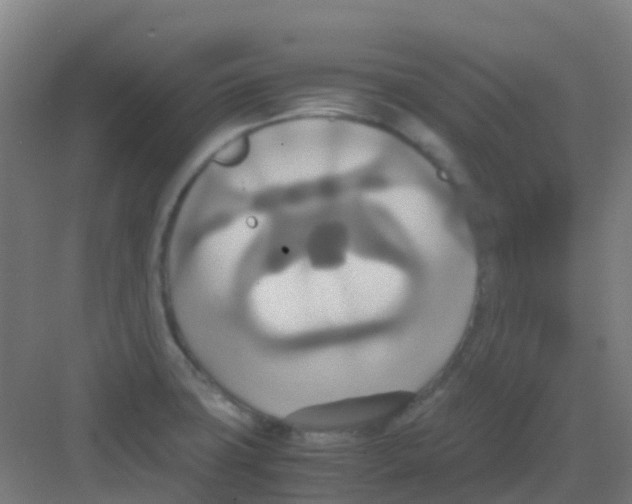 X0000081371427200702082334