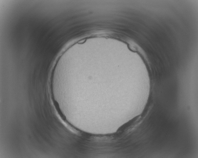 X0000081371429200702082335