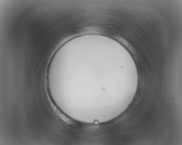 X0000081371431200702082335