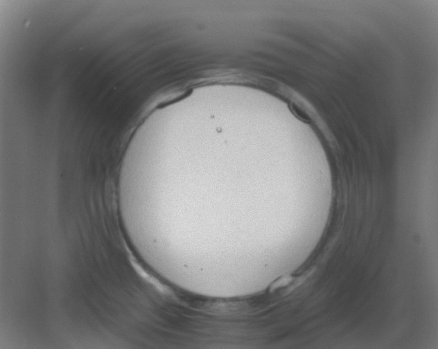 X0000081371433200702082335