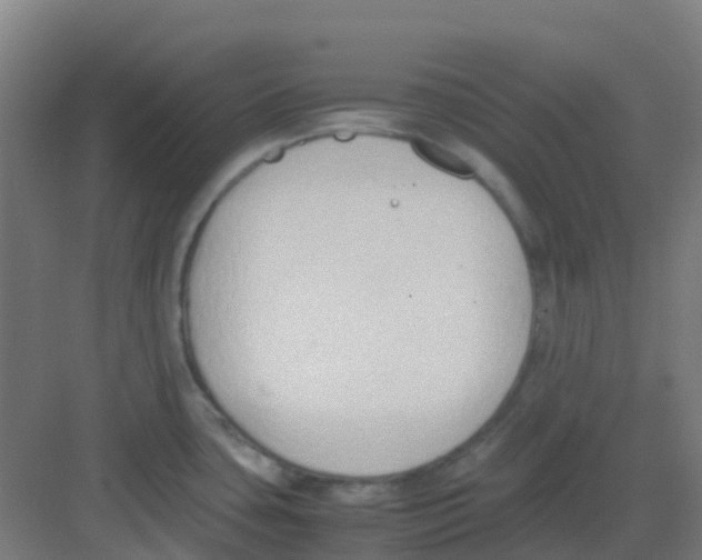 X0000081371435200702082335