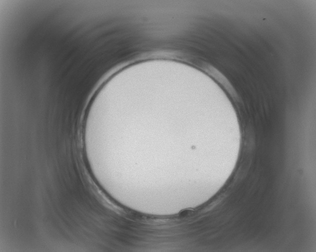 X0000081371436200702082335