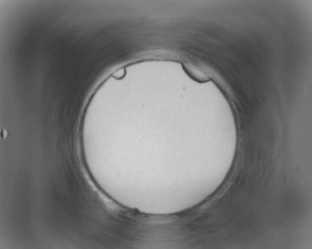 X0000081371440200702082335