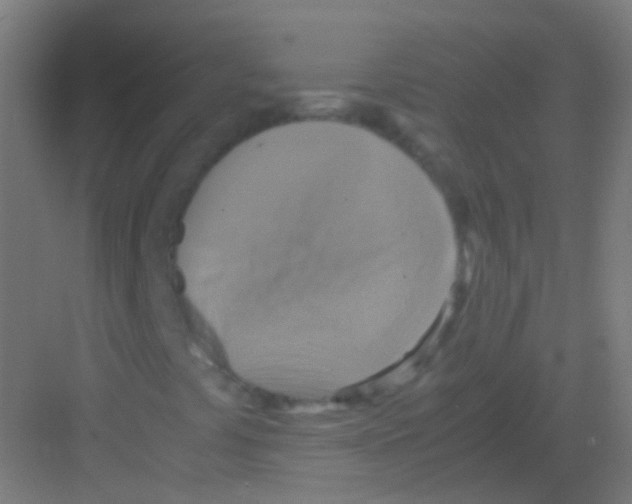 X0000081371441200702082334