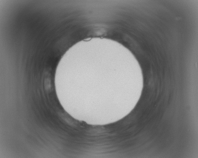 X0000081371442200702082334