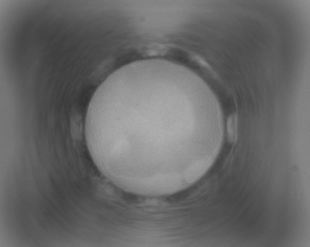 X0000081371443200702082334