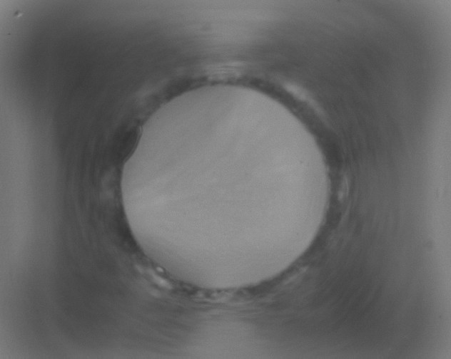 X0000081371445200702082334