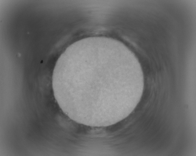 X0000081371447200702082334