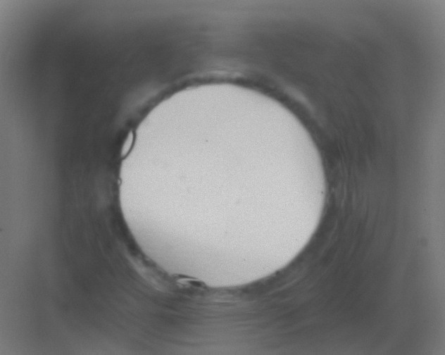 X0000081371448200702082334