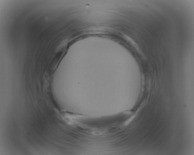 X0000081371449200702082334