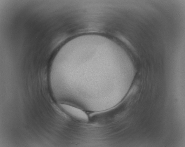 X0000081371450200702082334