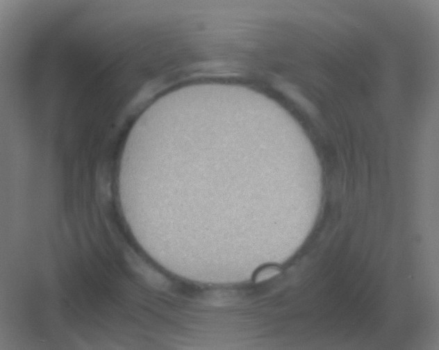 X0000081371451200702082334