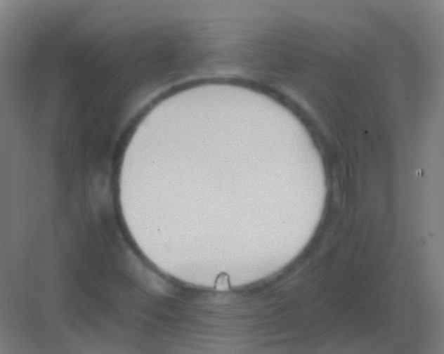 X0000081371452200702082334