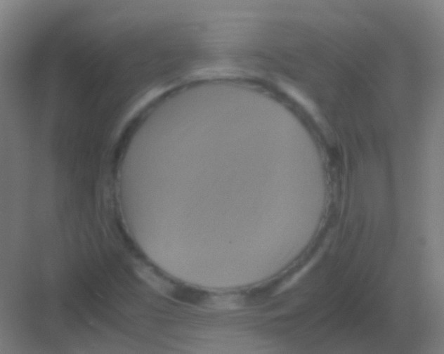 X0000081371453200702082334