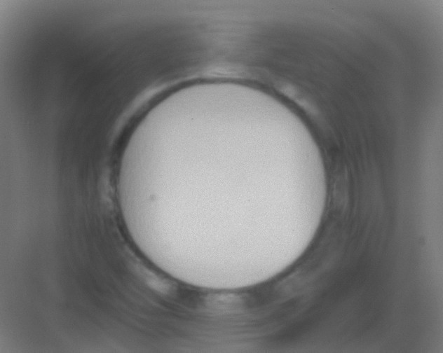 X0000081371454200702082334