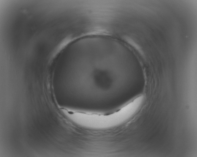 X0000081371455200702082334