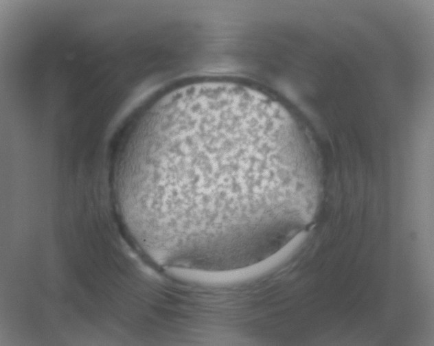 X0000081371456200702082334