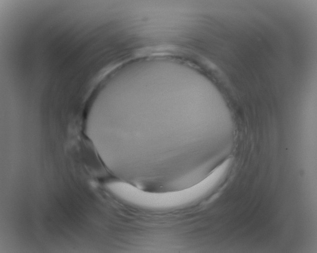 X0000081371457200702082334