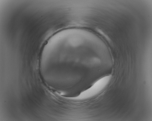 X0000081371459200702082334