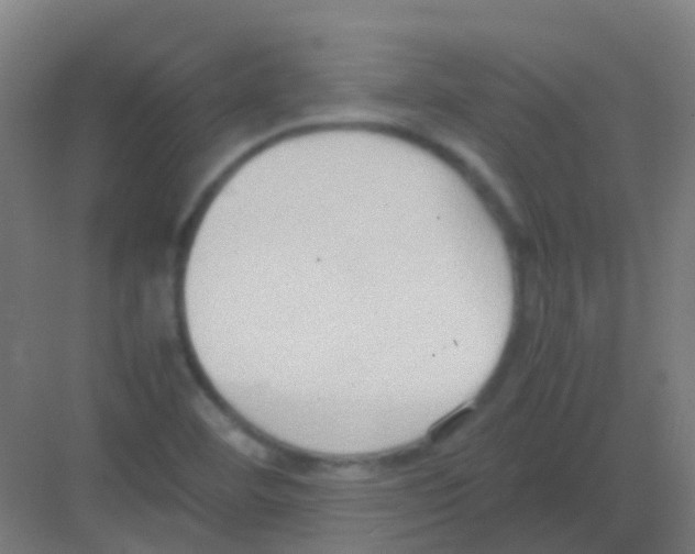 X0000081371460200702082334