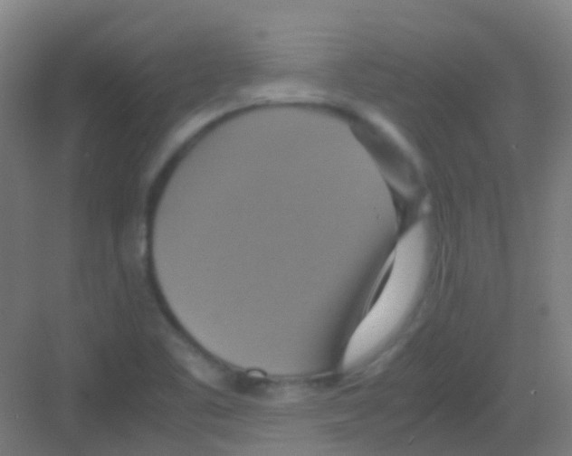 X0000081371461200702082334