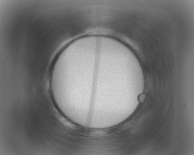 X0000081371462200702082334