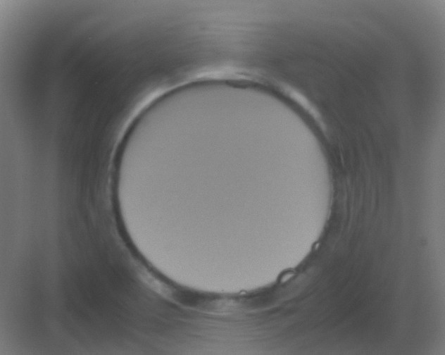 X0000081371463200702082334